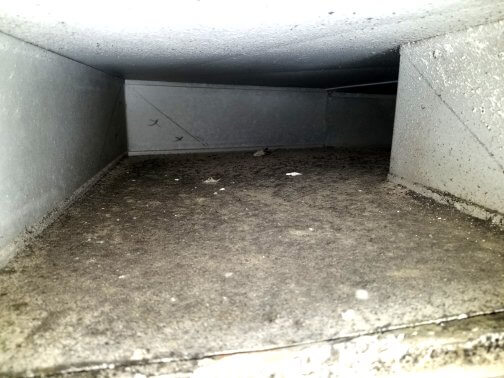 `air duct cleaning service mesa