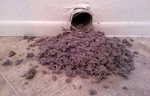 Debris removed from dryer vent